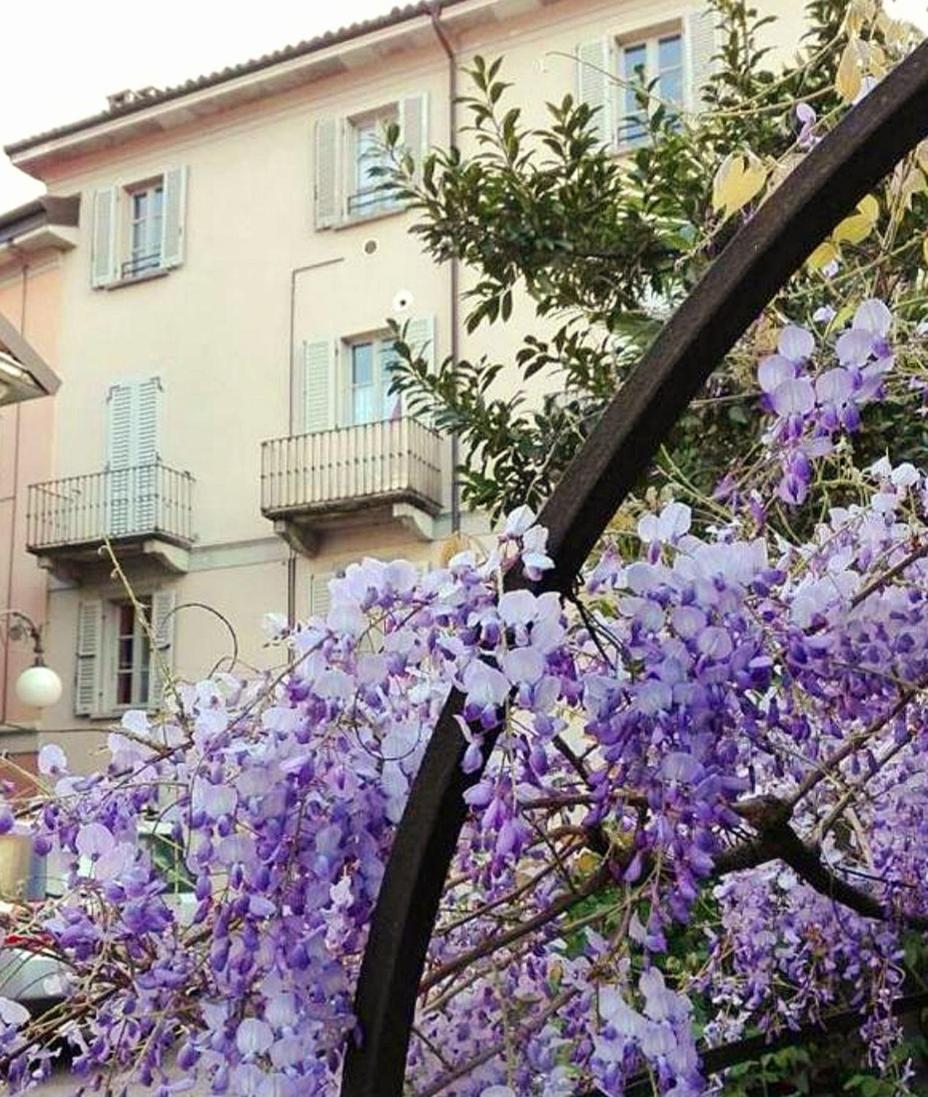 Casa Vacanze Stella Verbania Bagian luar foto